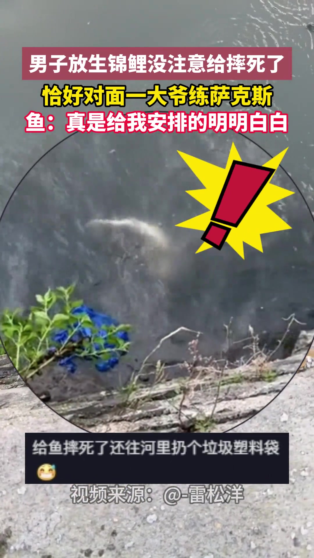 男子放生锦鲤没注意给摔死了恰好对面一大爷练萨克斯