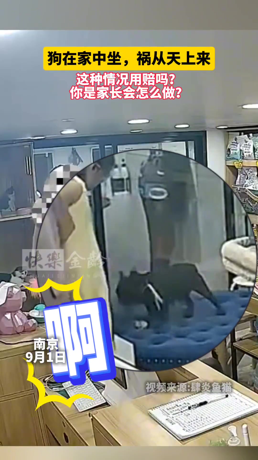 活该被咬！乱摸别人的狗！