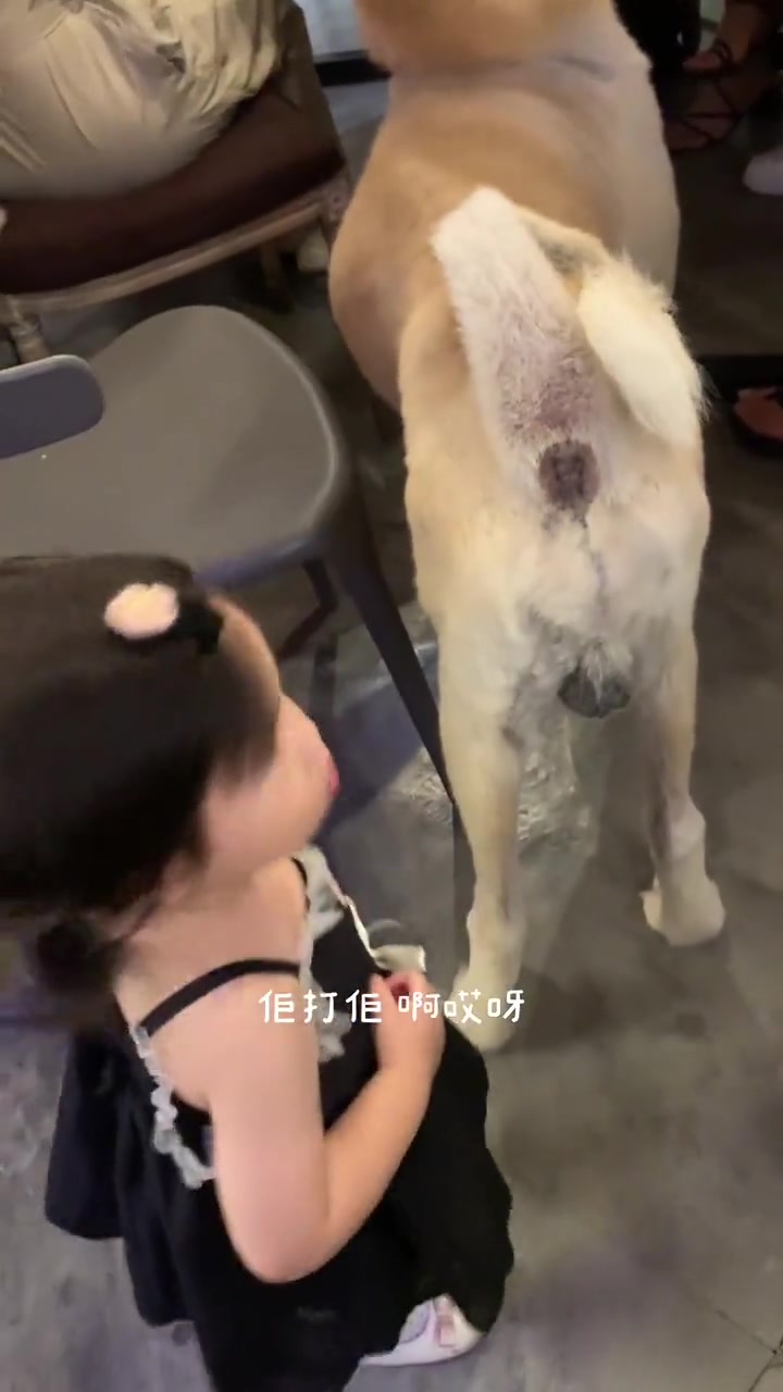 为什么不阻止一下小女孩啊