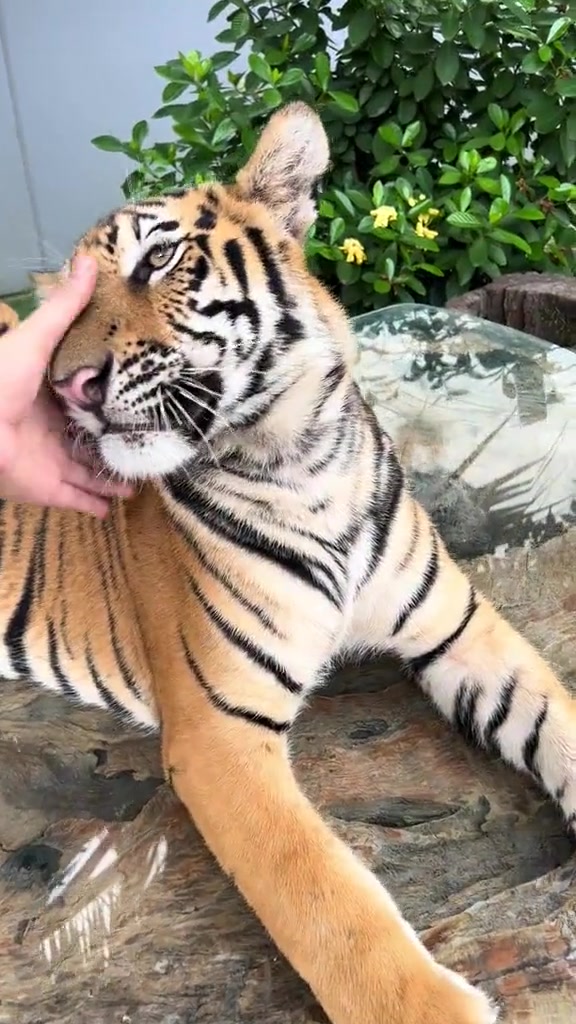 这逆天操作，非专业人士请勿模仿