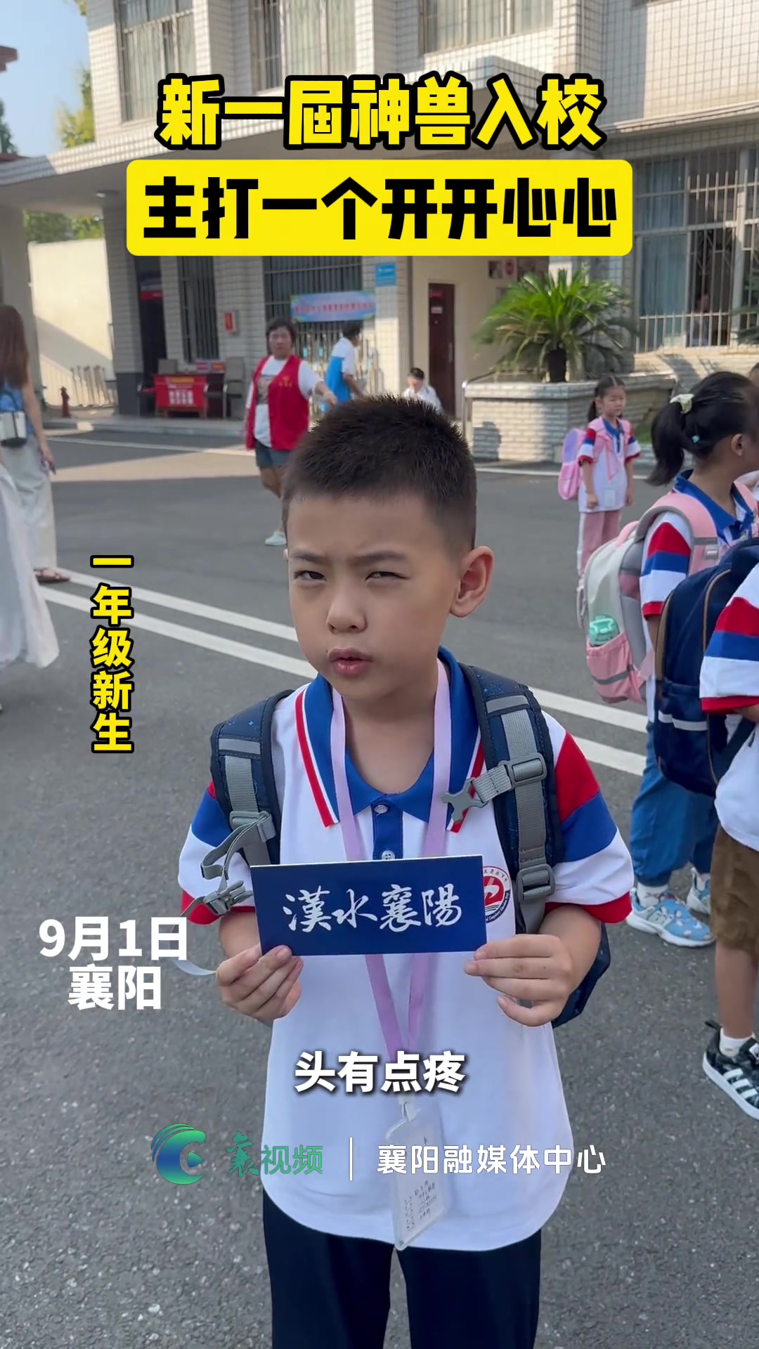 新一届神兽入校，主打一个开开心心