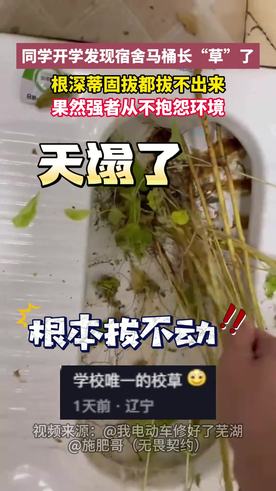 同学开学发现宿舍马桶长“草”了，根深蒂固拔都拔不出来