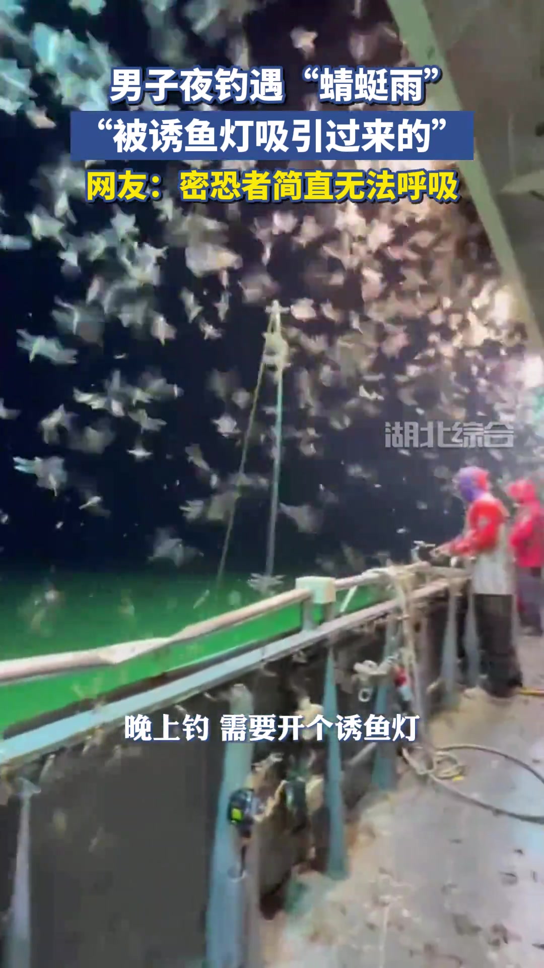 有没有一种可能蜻蜓也挺好吃的！