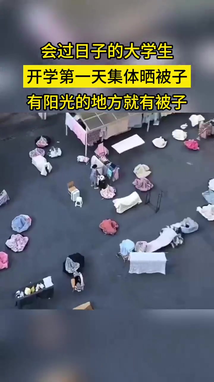 会过日子的大学生开学第一天集体晒被子