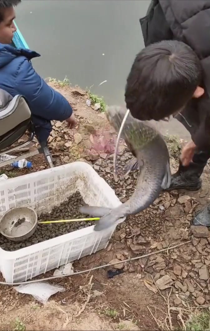 不是你的鱼，你终究留不住