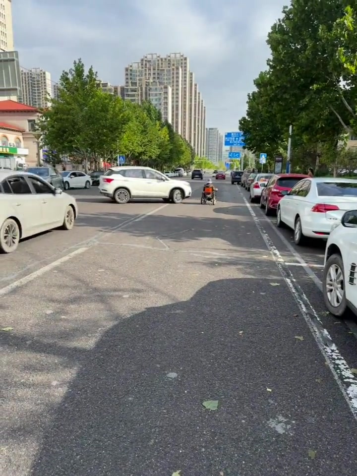 好心司机主动帮助“误入车途”的大妈归位！