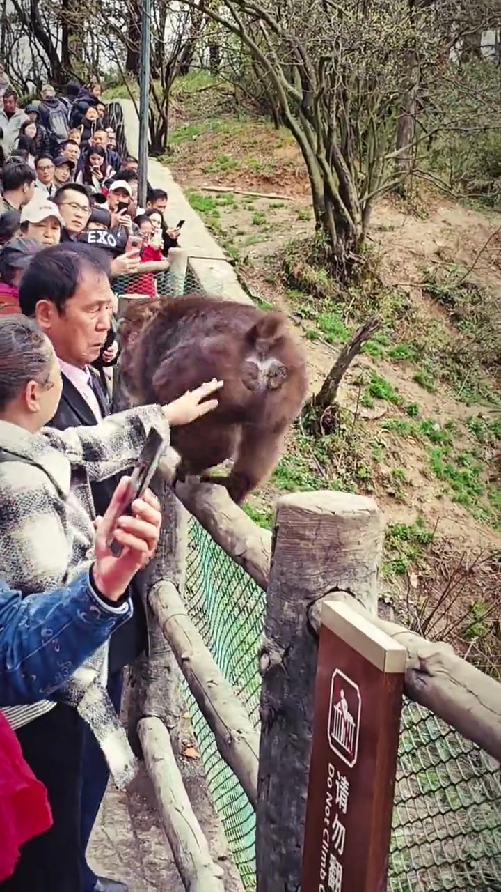 这大娘手是真的欠！害大爷被咬