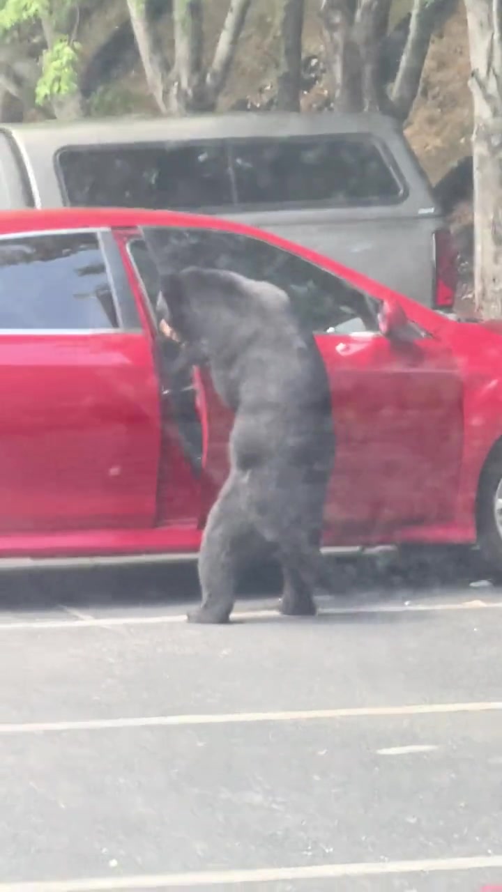 这一次我站隐藏式门把手