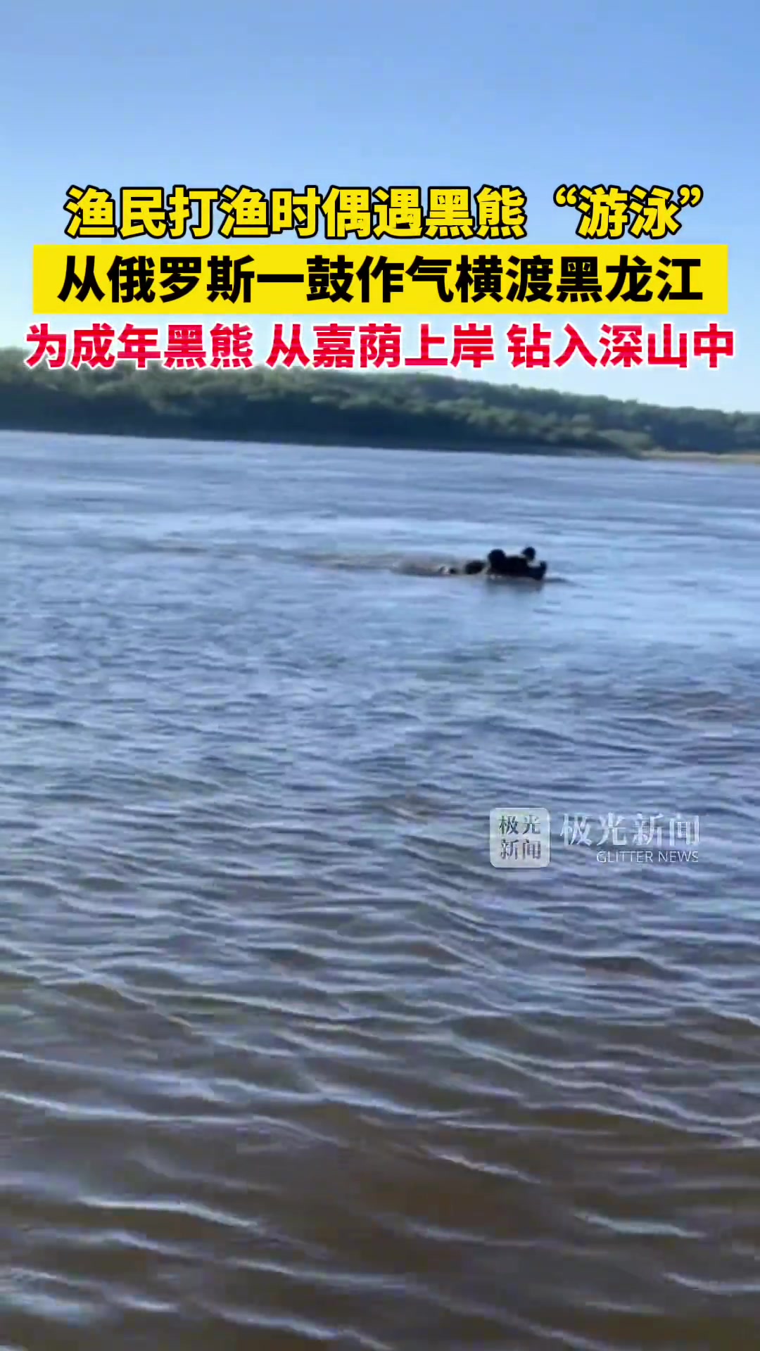 您是真熊呀！从俄罗斯一鼓作气横渡黑龙江！