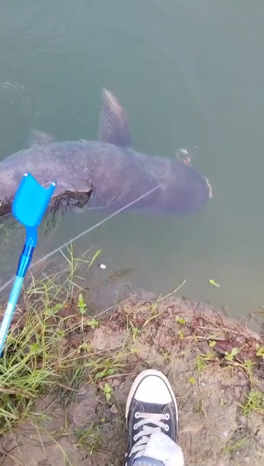 这是属于钓鱼佬的新型装逼方式