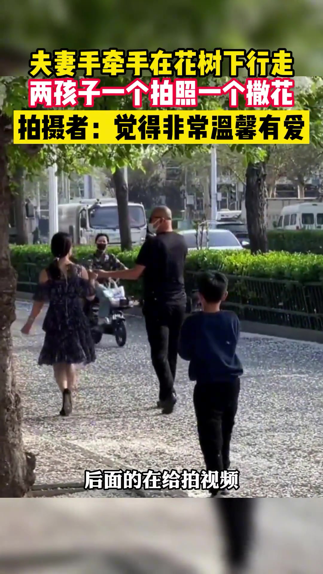 温馨一幕！夫妻牵手在花树下行走孩子们给父母拍照撒花