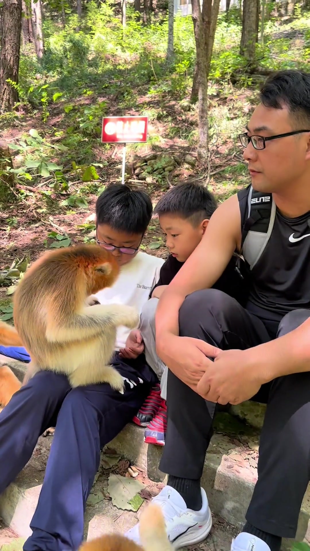 第一次见到这么听话的猴子！