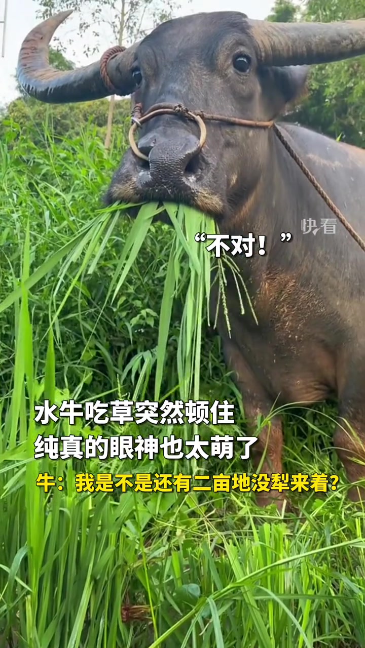 这种现象我们一般称之为牛顿！