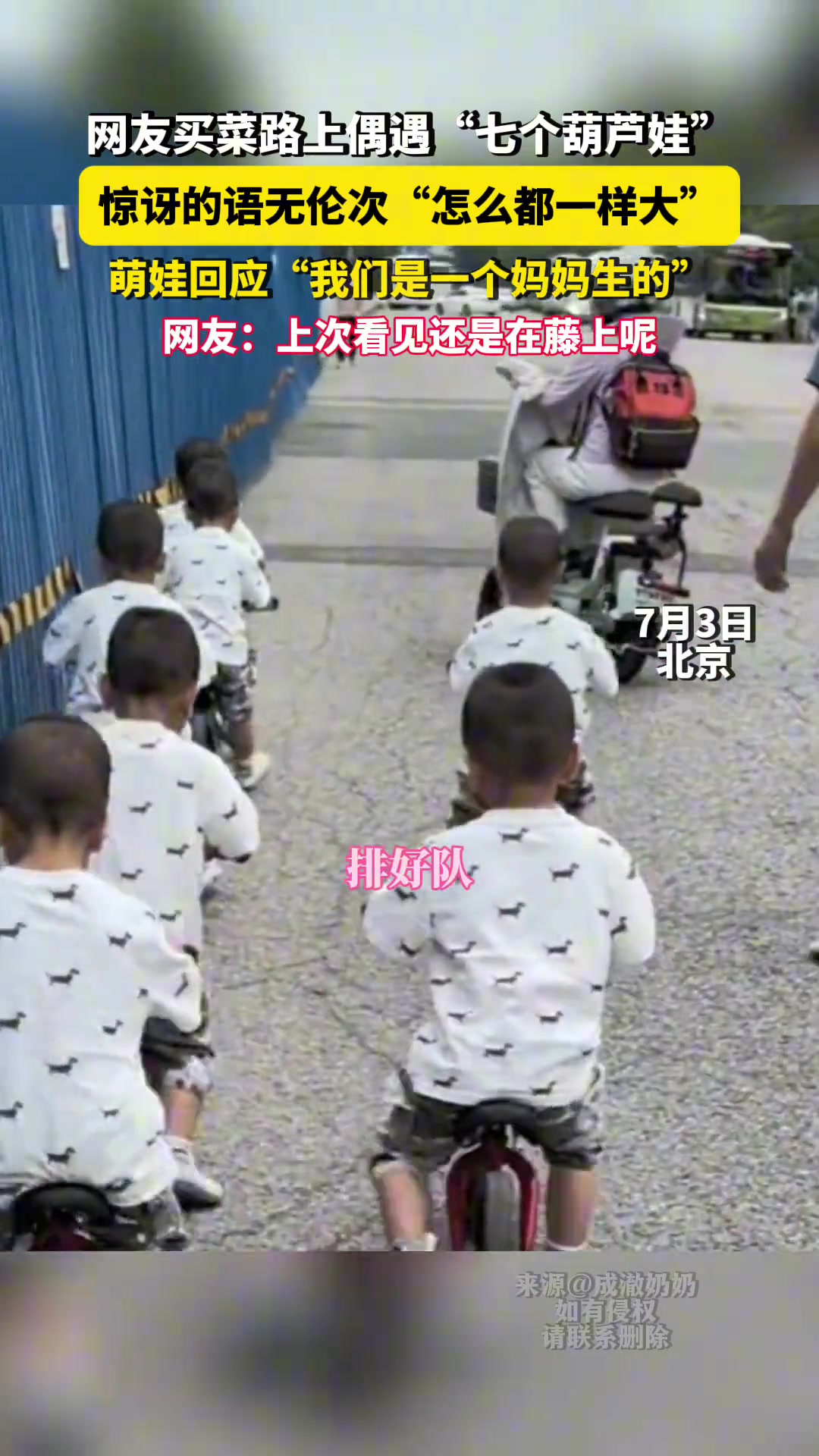 网友买菜路上偶遇“七个葫芦娃”这啥家庭啊！
