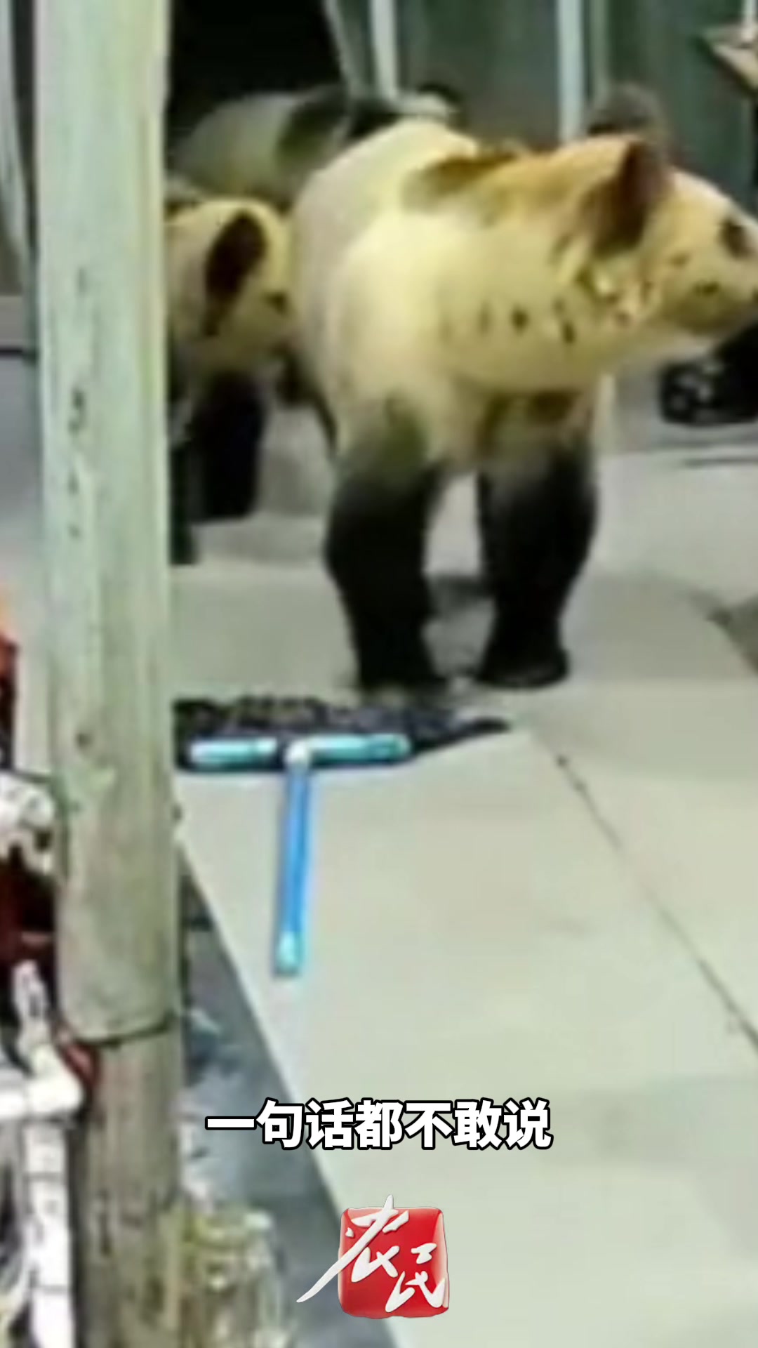 熊：咋的不接客户了