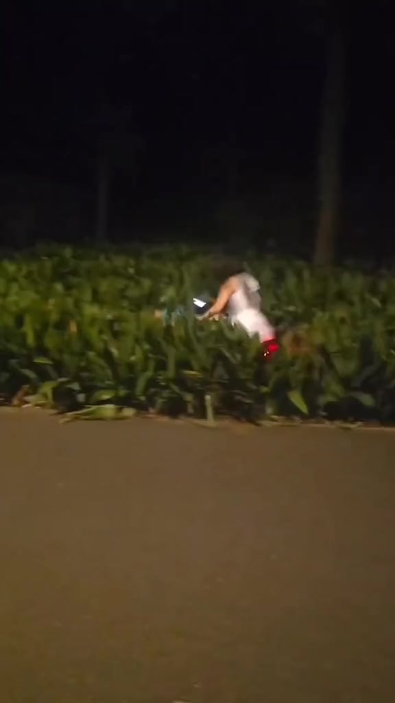 一看就知道是本地的，还知道哪里有条小路