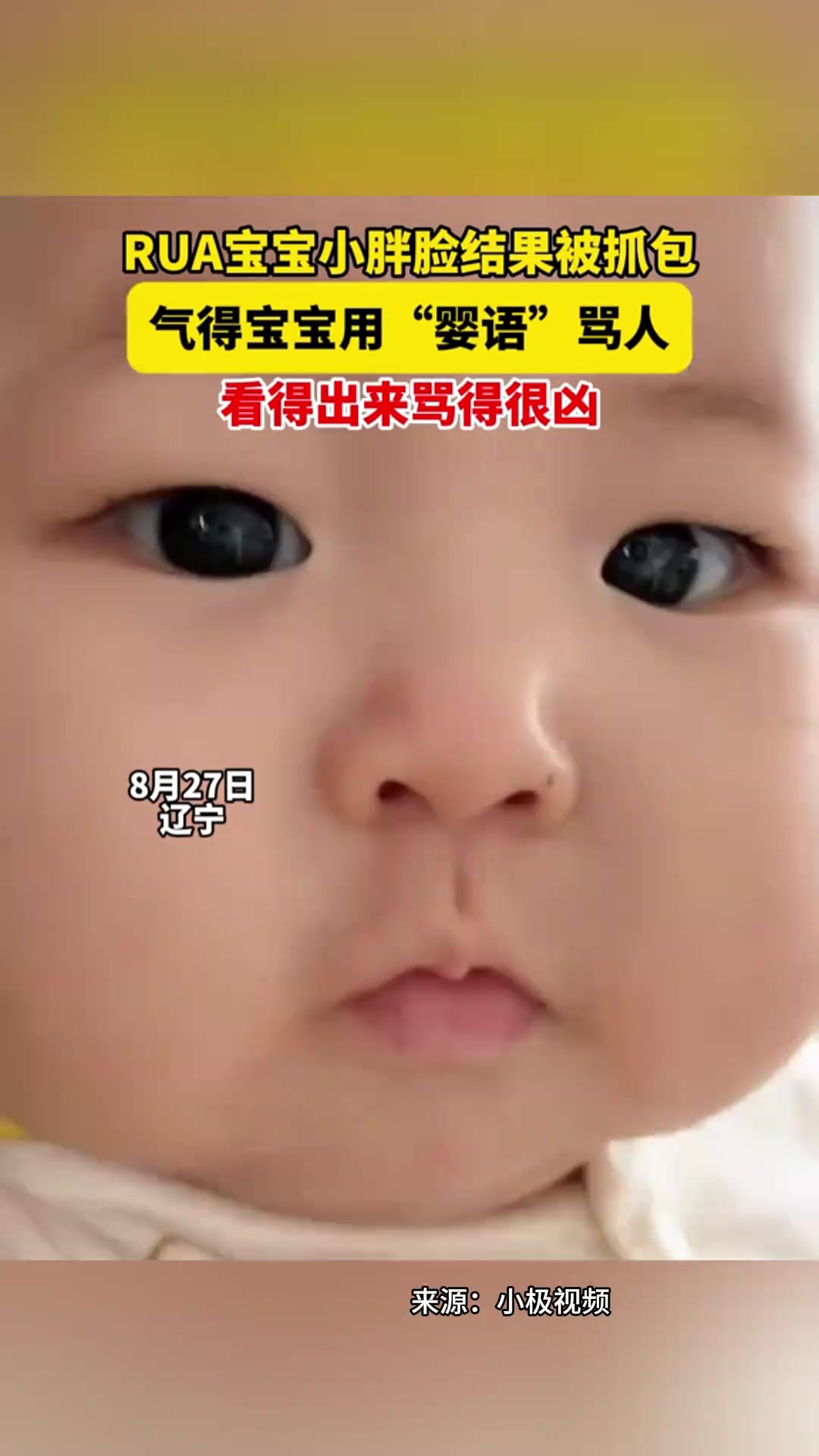 小胖娃的脸也太可爱了吧