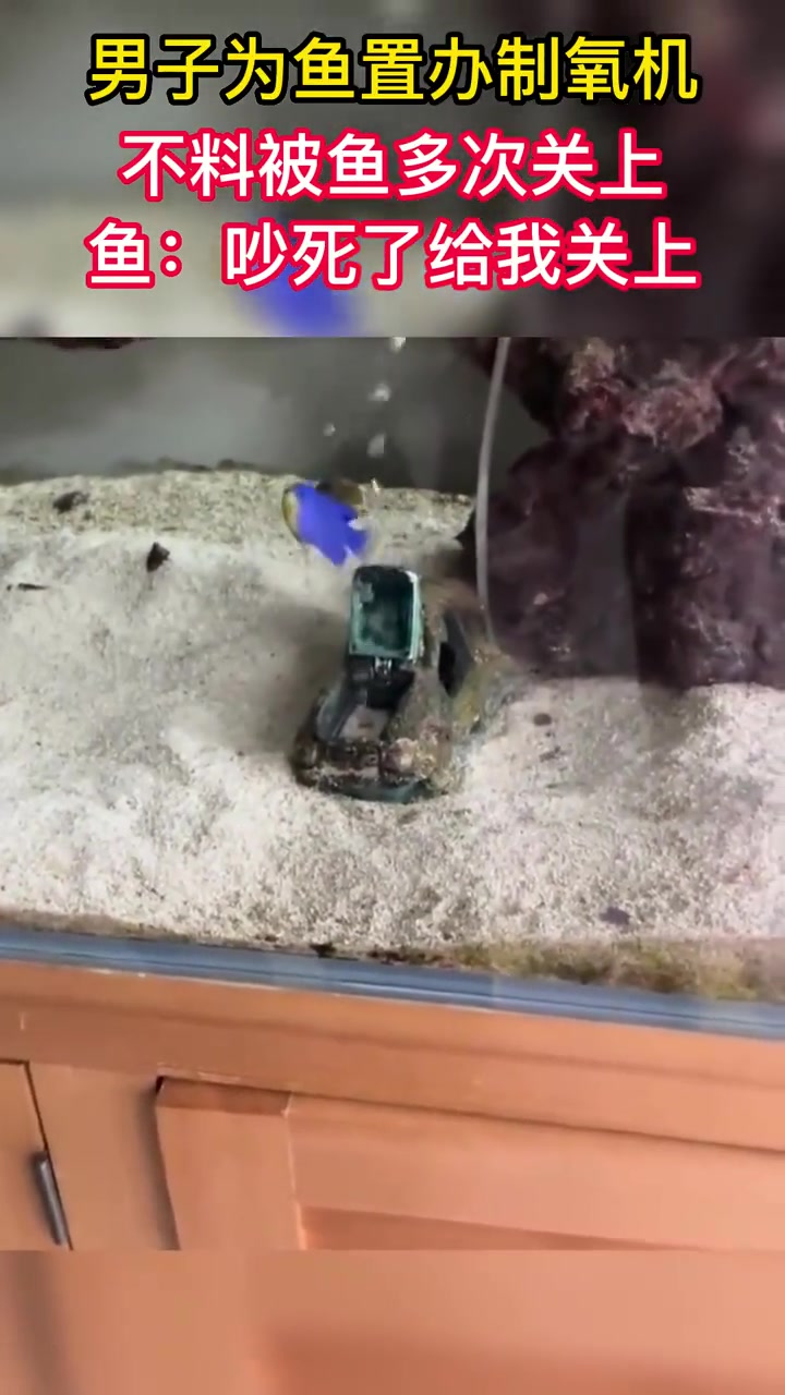 使用了飞踢却找不到活命的氧气！寂寞来袭，我的命应该放在哪里