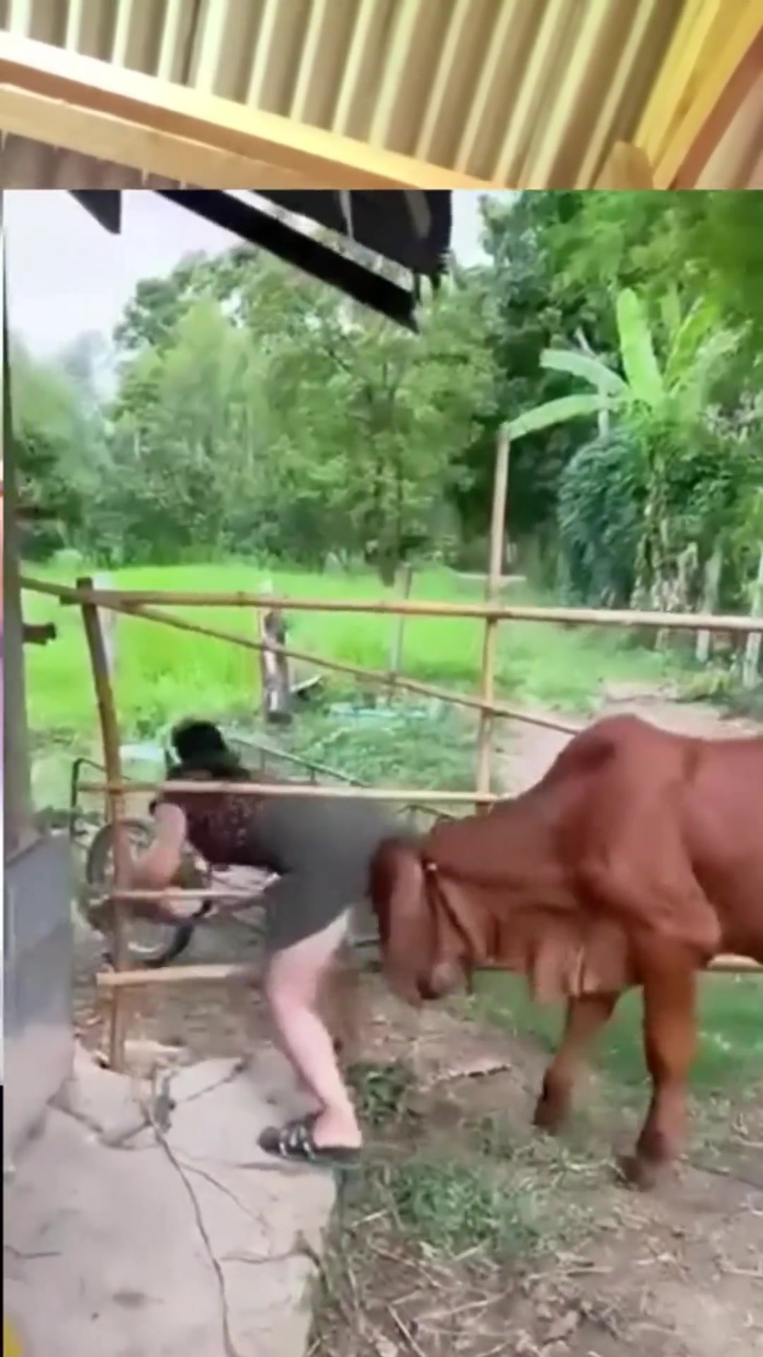 神助攻！牛：我怕她穿不过去...