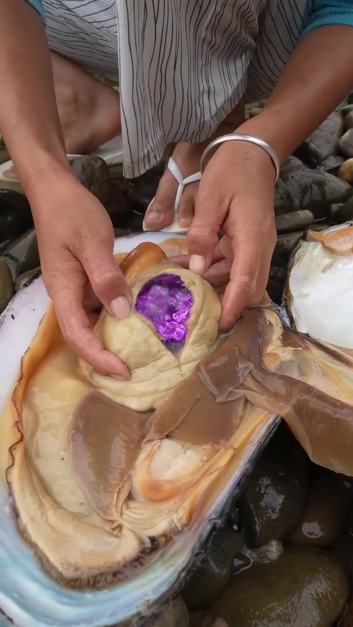 假的不能再假了！珍珠提前放进去的吧！