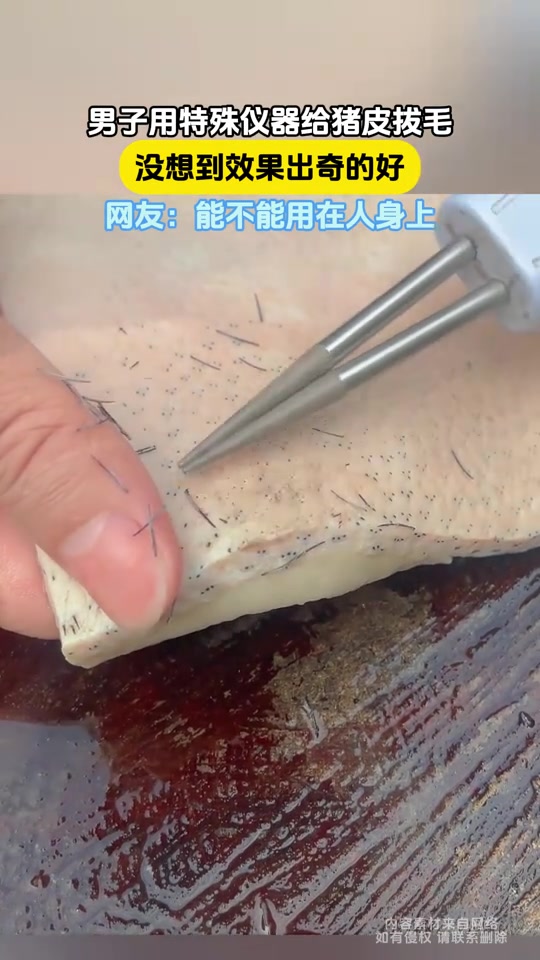 男子用特殊仪器给猪皮拔毛，没想到效果出奇的好！