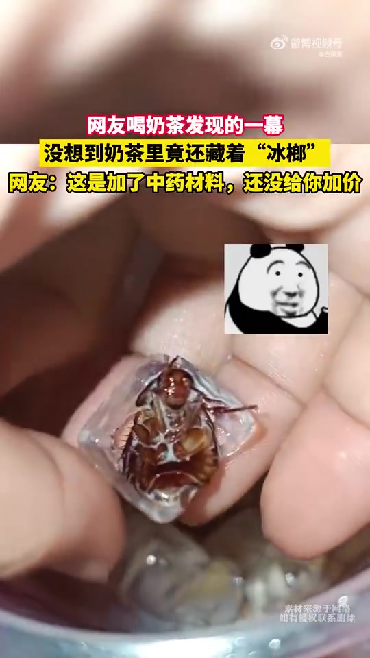 没想到奶荼里竟还藏着“冰榔”！