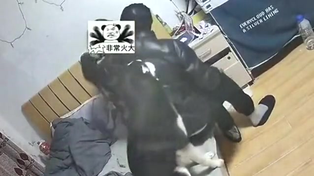 没白养！夫妻俩发生争执，狗子见状立马护女主人