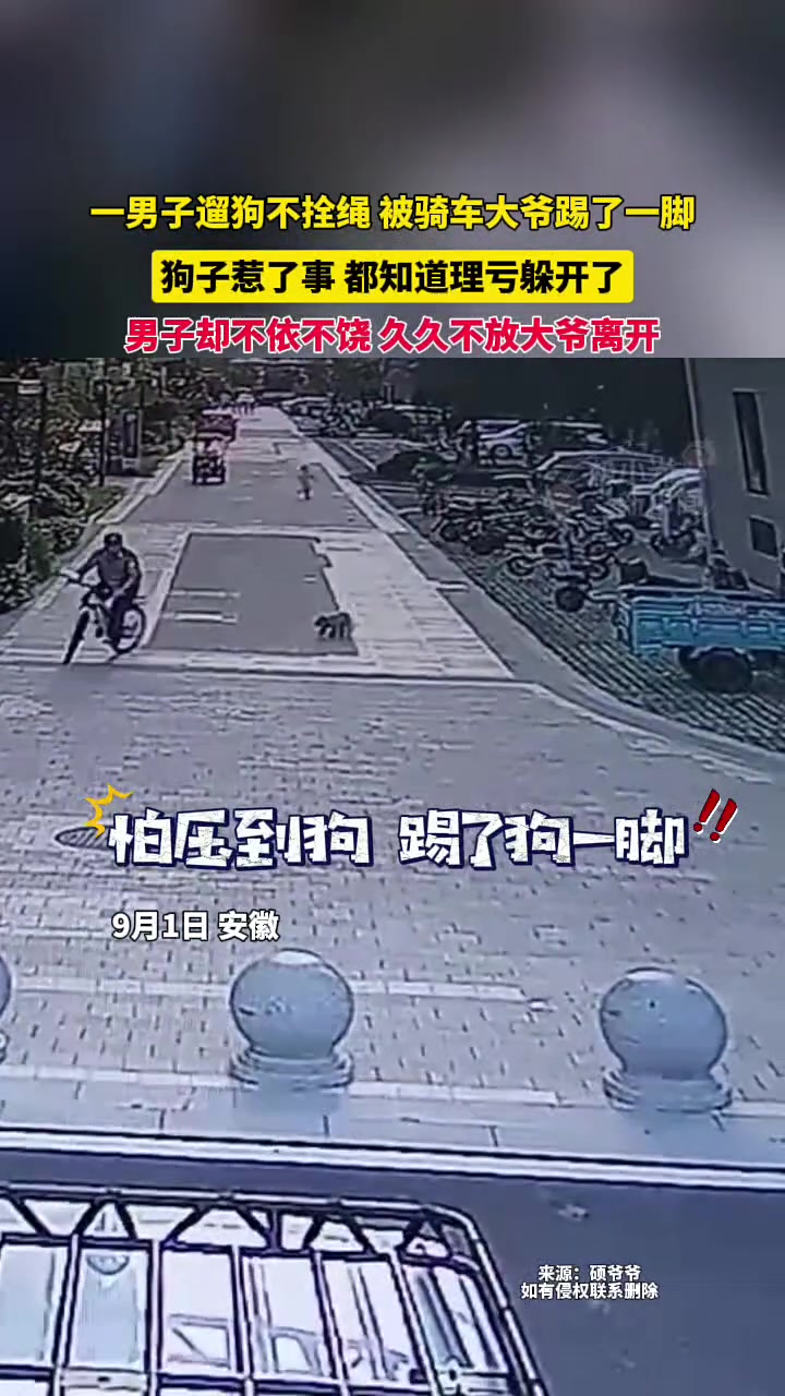 男子遛狗不拴绳，被大爷踹了一脚，男子上前理论