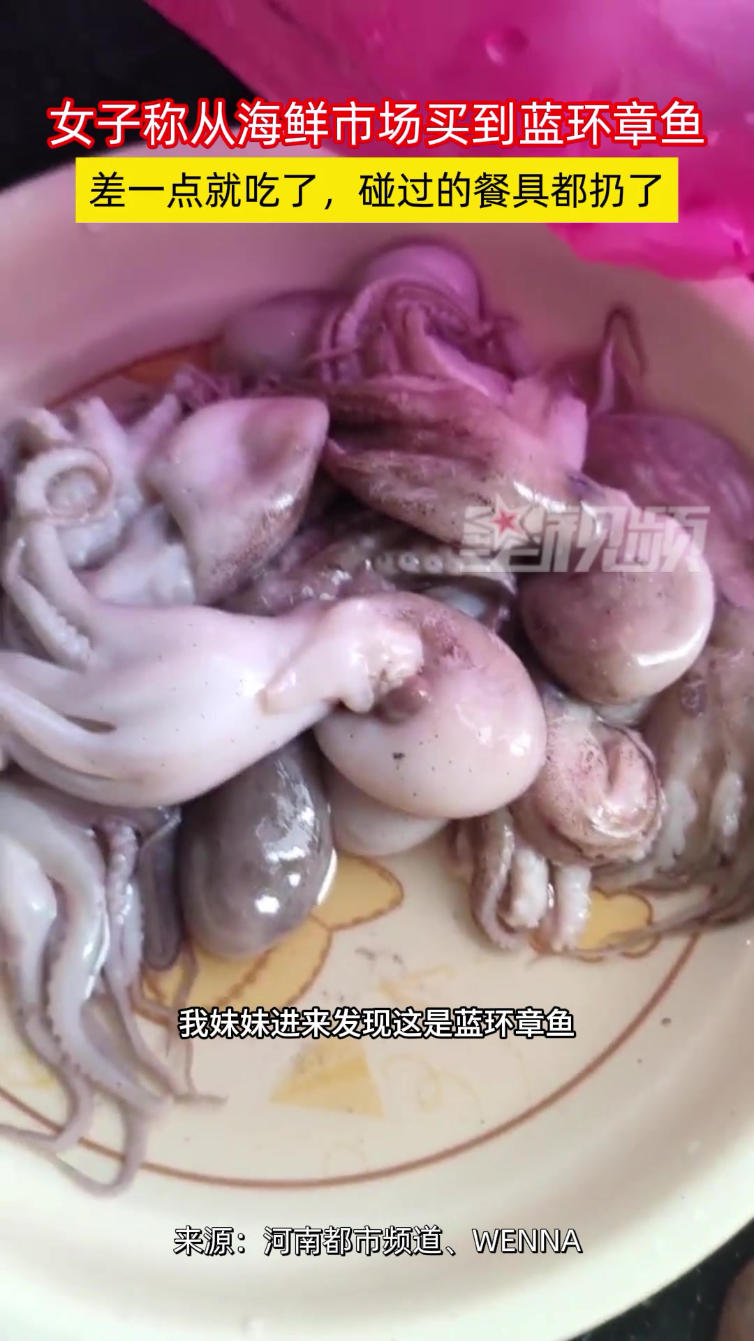 女子在海鲜市场买到蓝环章鱼，还好认了出来