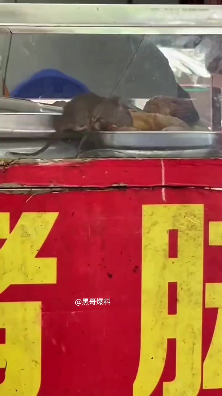 吃饭过程中抬头看到的一幕！瞬间饭菜不香了！！