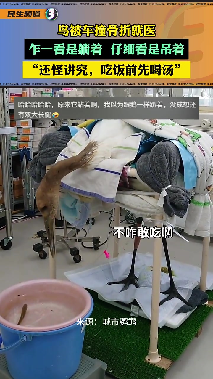 原来不是躺着，是吊着！怪讲究，吃饭前还先喝个汤！