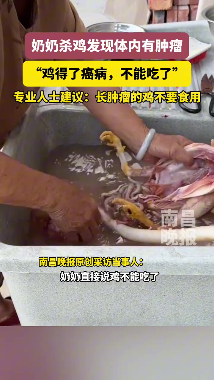 奶奶杀鸡发现鸡体内有肿瘤，立马说不能吃了