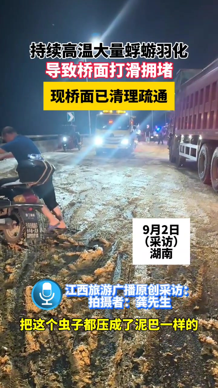 和下雪一样！这难道就是寄蜉蝣于天地吗