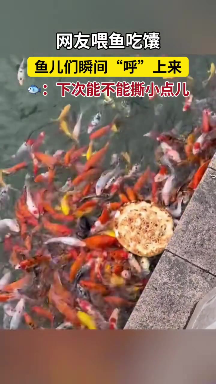 这顿大餐不太好分啊！