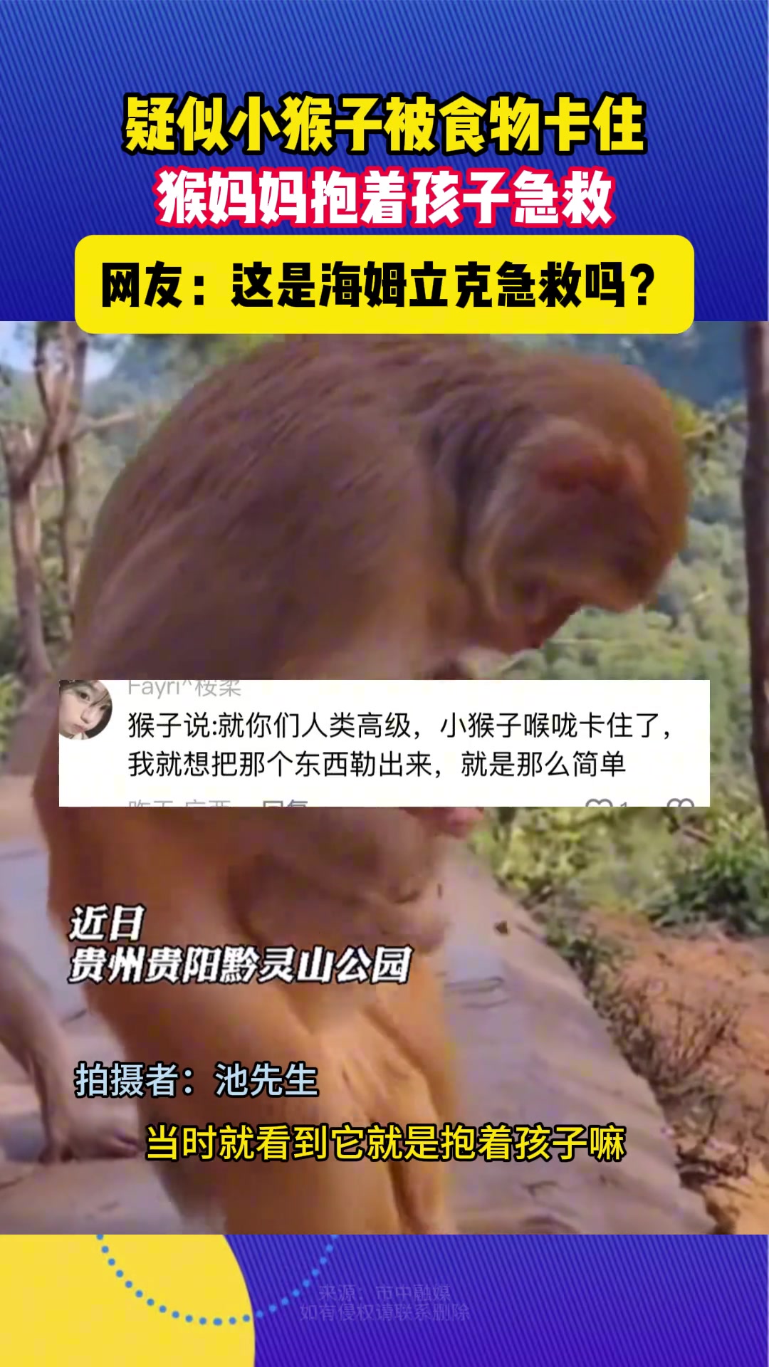 不是，这大自然也科普到位啦