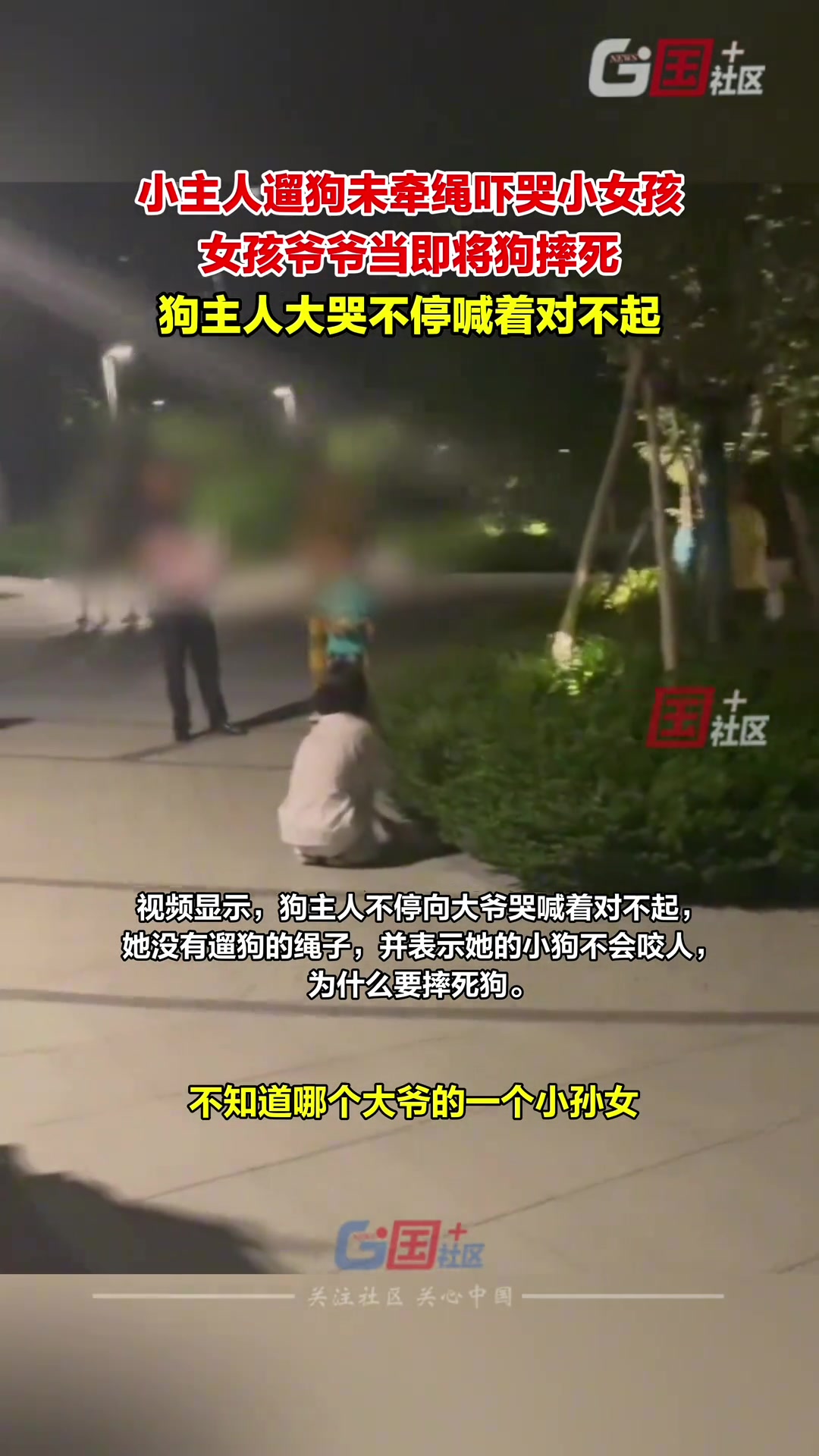 女子遛狗不拴绳吓哭小女孩孩子爷爷将狗抱起摔死