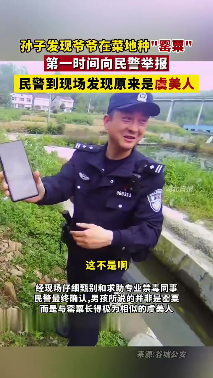 大义灭亲超大乌龙！孙子举报爷爷在菜地种“罂粟”！