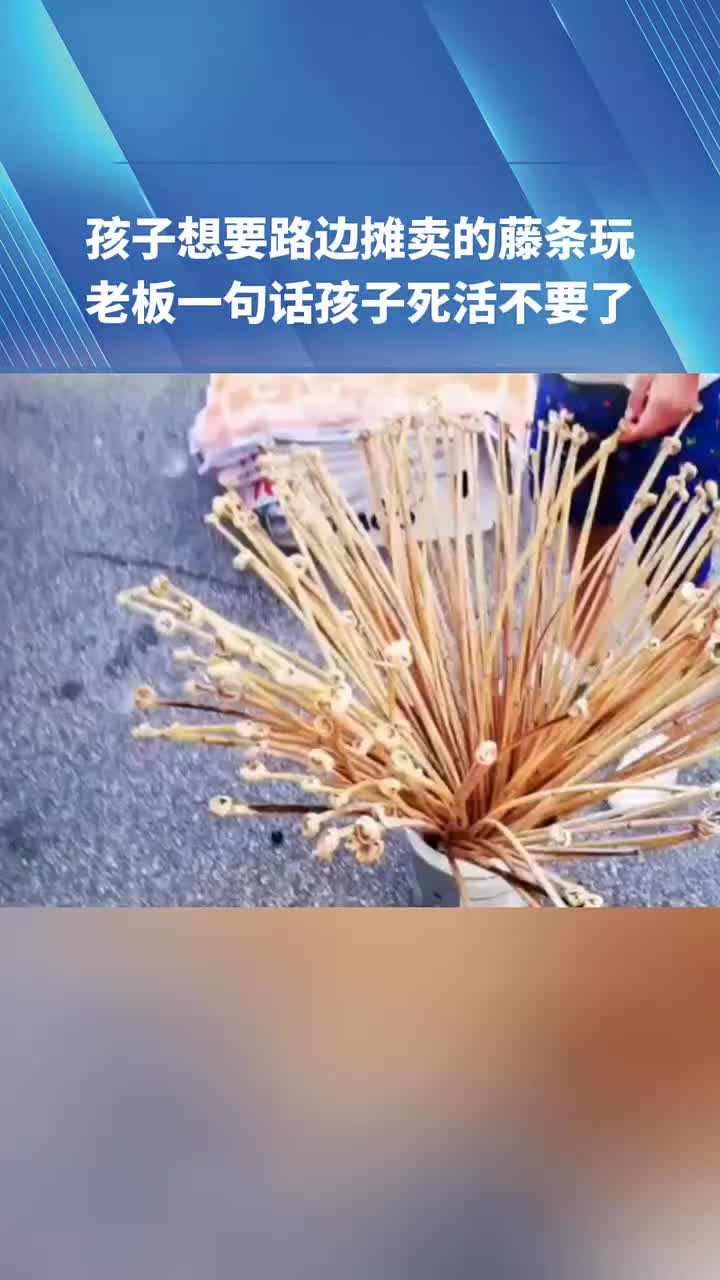 童年阴影！孩子想要路边摊卖的藤条玩，老板一句话孩子不要了！