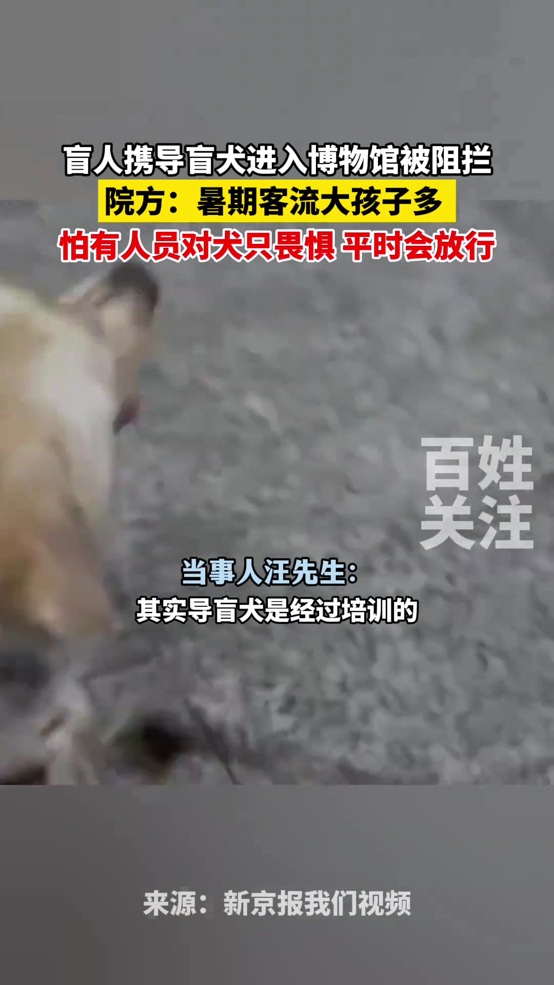 盲人携导盲犬进入博物馆被阻拦！院方：暑期客流大孩子多
