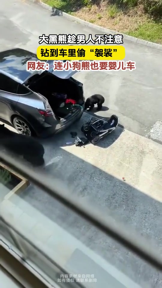 大黑熊趁车主不注意，上车偷”袈裟“
