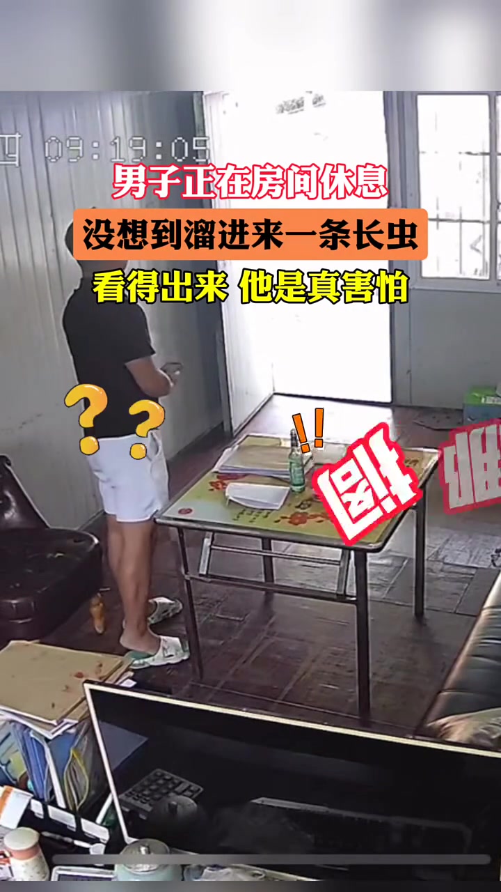 男子在房间休息没想到溜进来一条蛇！
