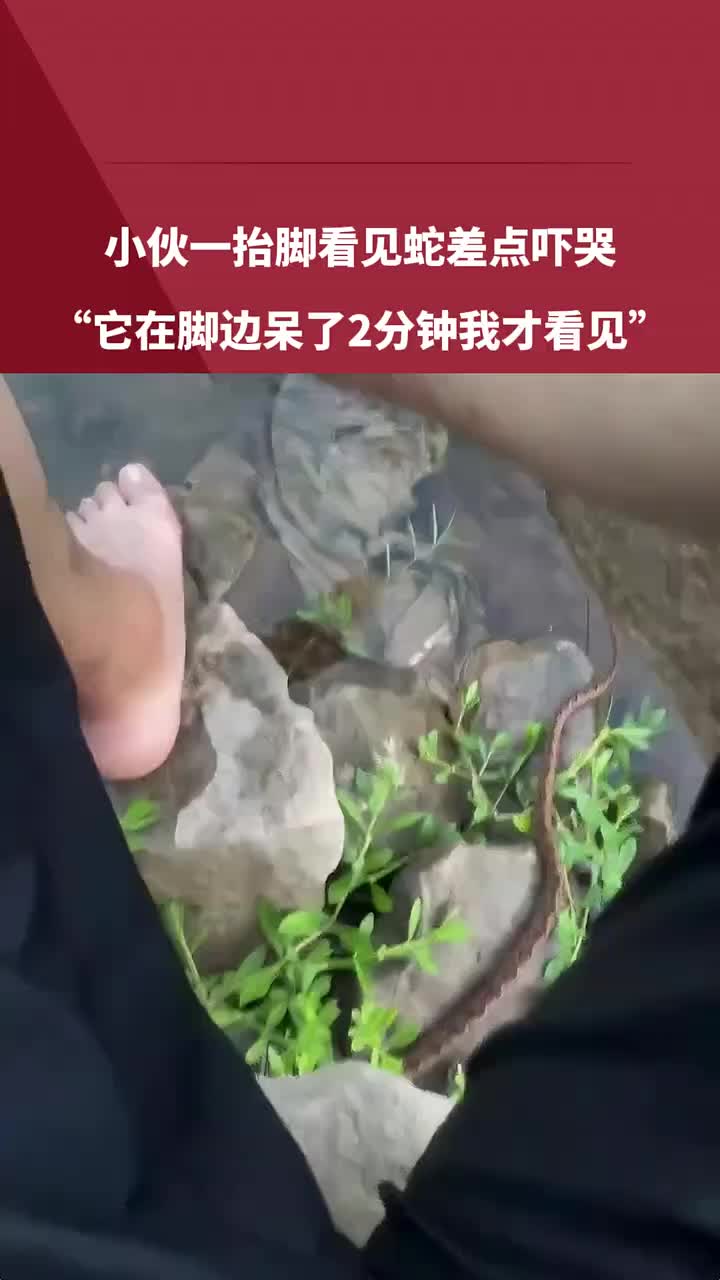 蛇：给条鱼，今天就放过你！