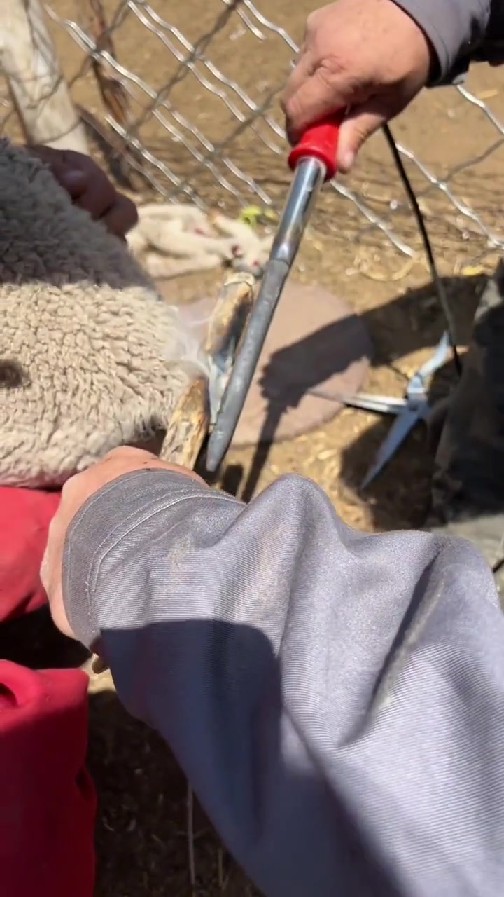 这是什么操作有没有懂的，为什么要剪掉！