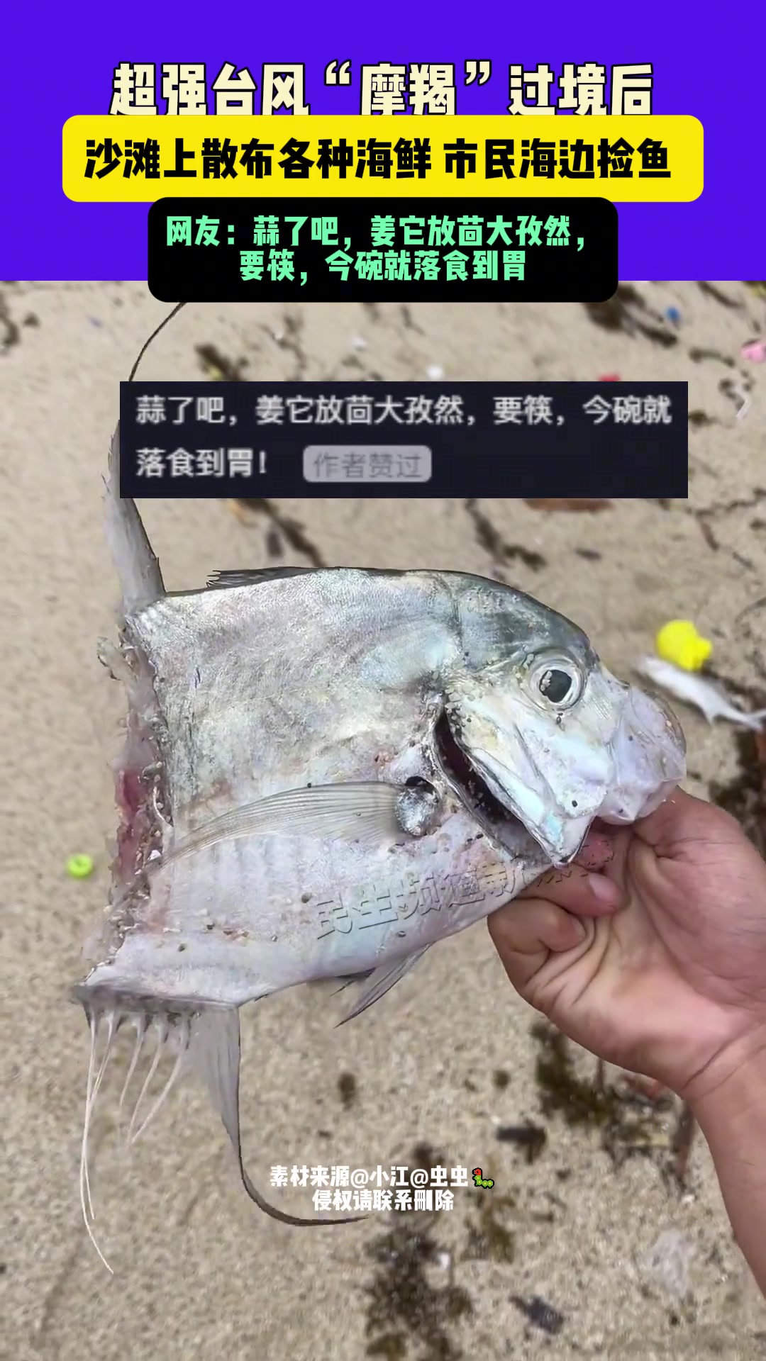 海南超强台风过境后沙滩上散布各种海鲜市民海边捡鱼