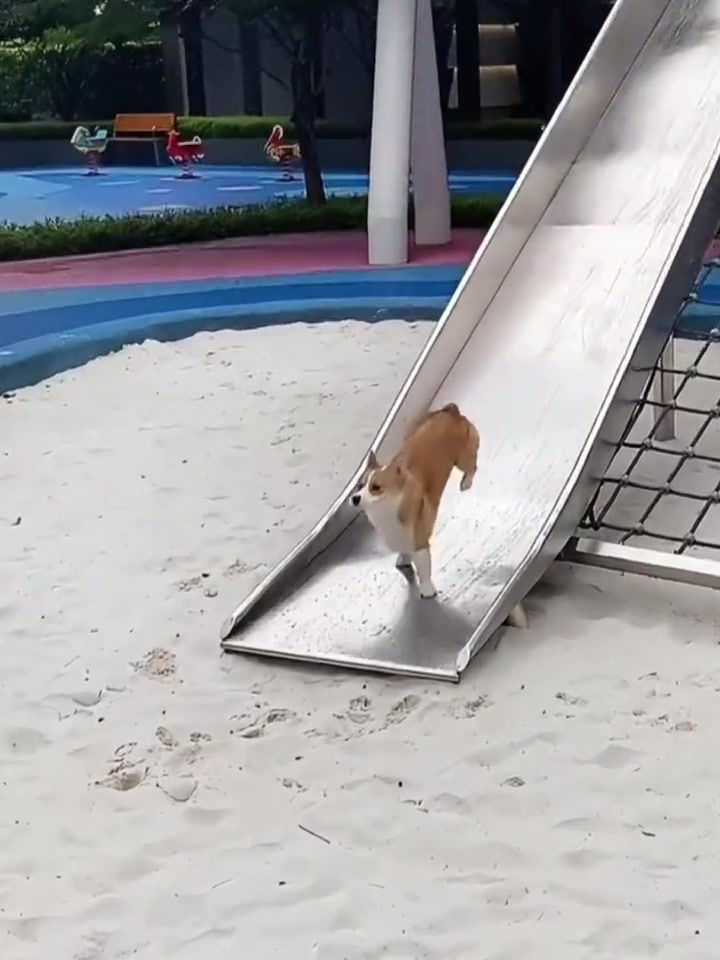 我承认你很大胆，可是也很好笑