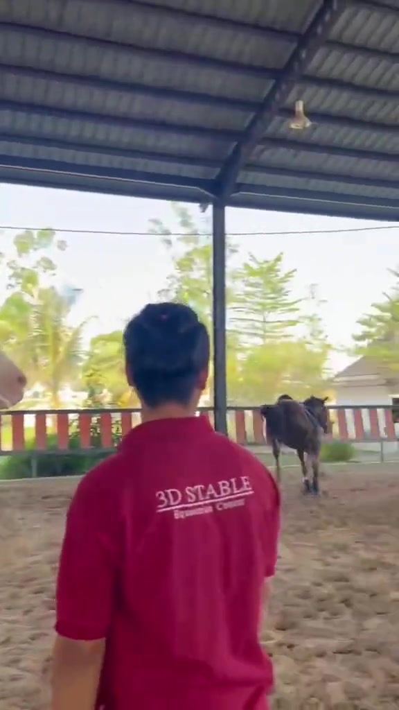 这马知道自己把小姐姐摔疼了，所以赶紧溜了...