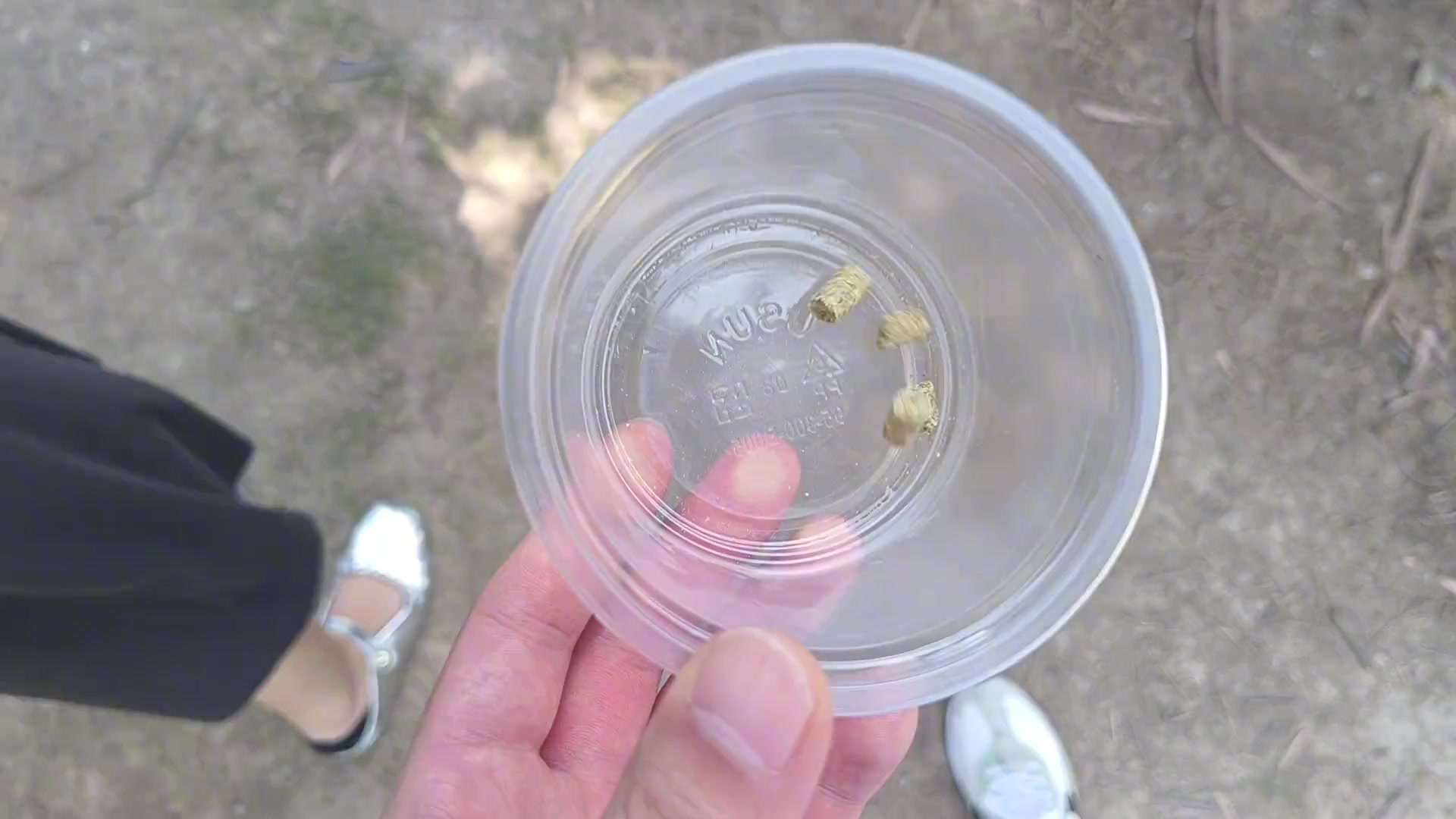 这么坑人的吗付过款还不能退，三十块钱四粒投喂食物