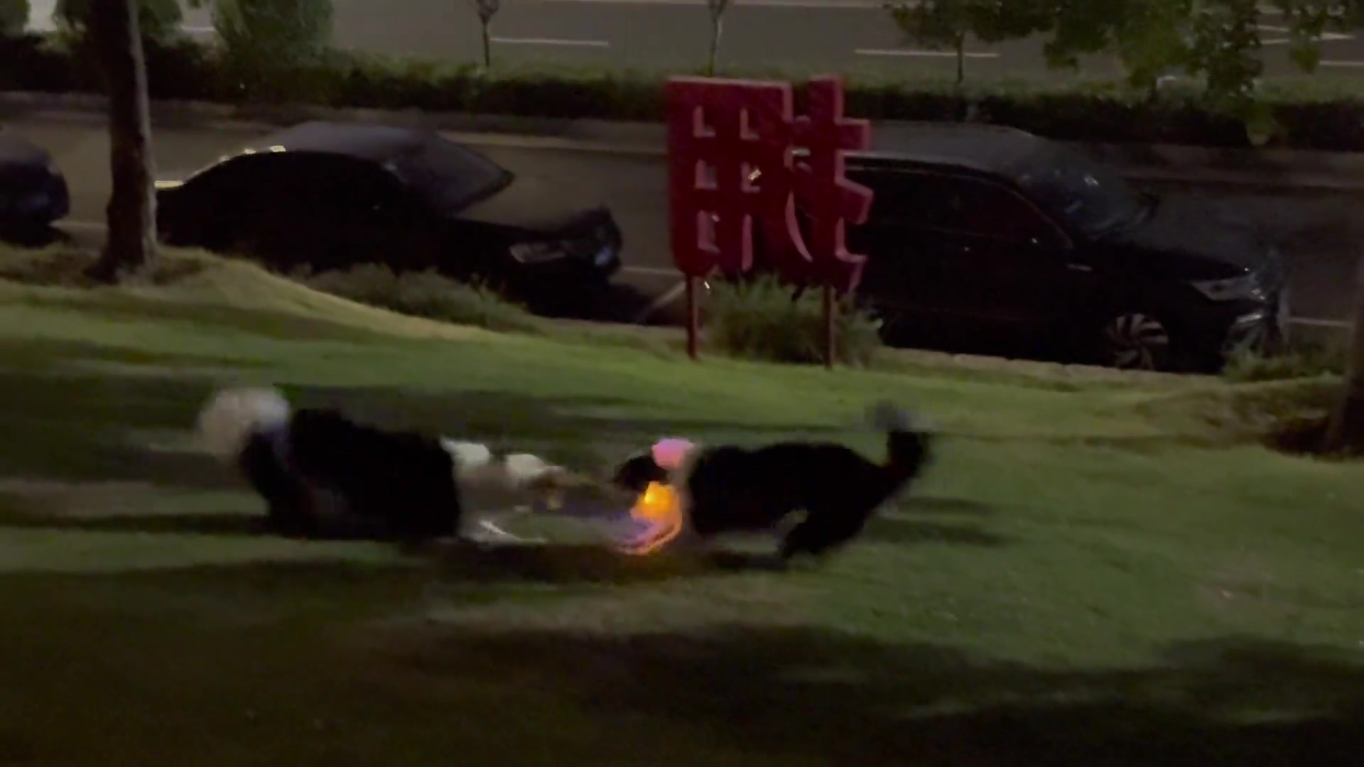 抢着抢着怎么还舞上了