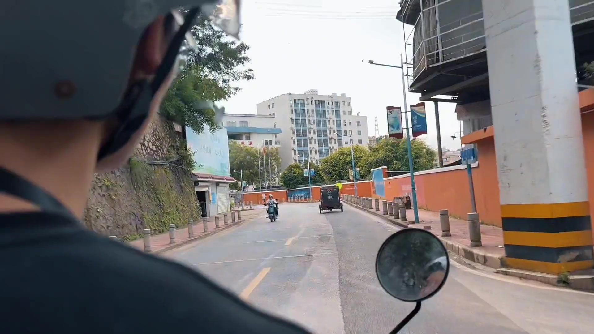 当你驯养一只小鸟，你与天空就有了羁绊