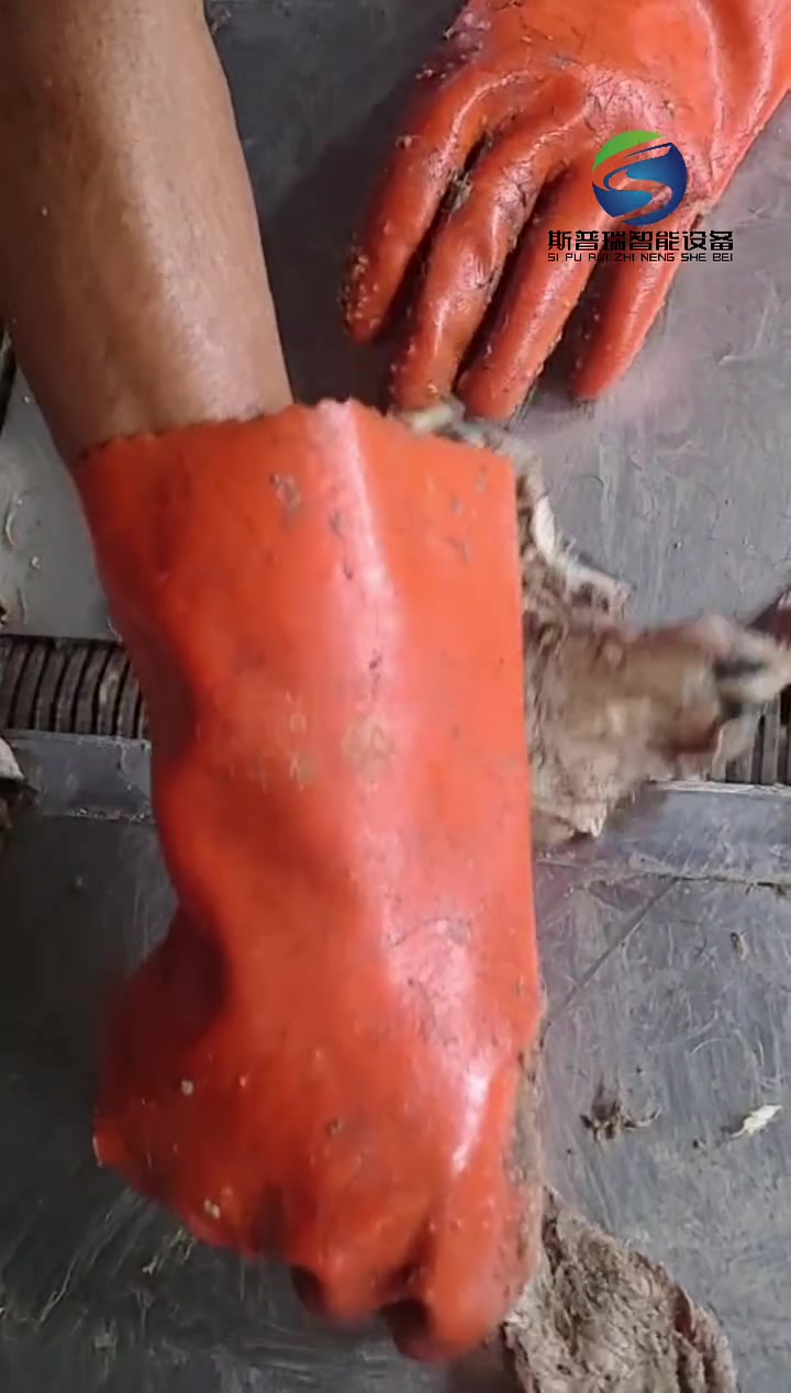 干皮子类的真不容易！有老板说说这技术咋样呢